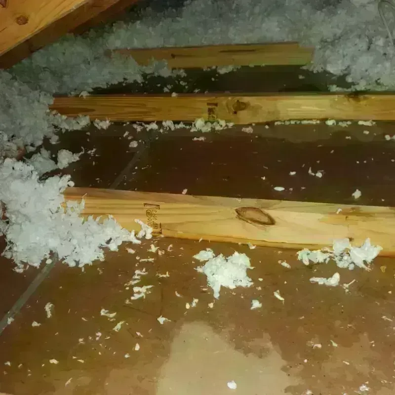 Attic Water Damage in La Mesa, CA