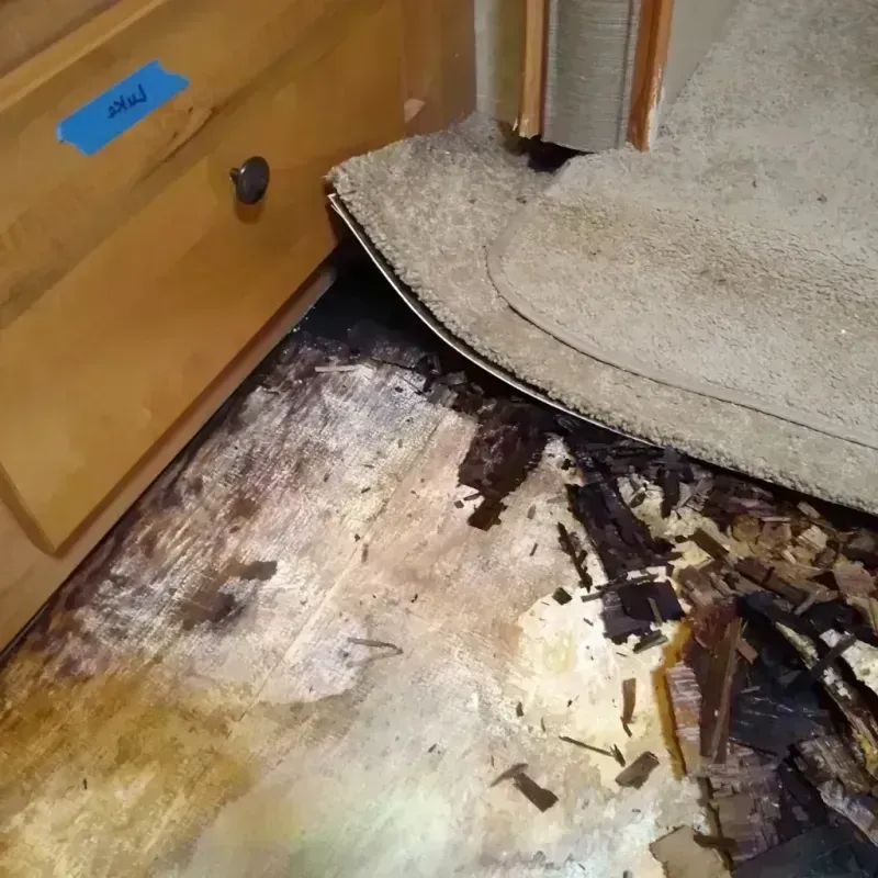 Wood Floor Water Damage in La Mesa, CA